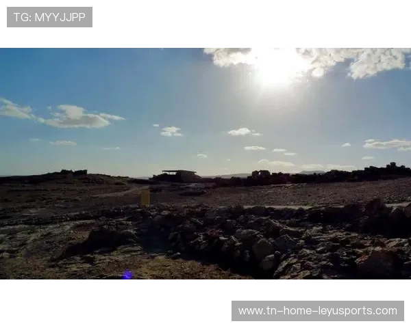 德约称信念是胜利关键：从低谷到巅峰的心灵之旅