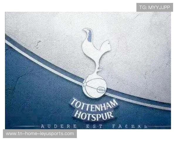 托特纳姆热刺如何化主场压力为动力，托特纳姆热刺新球场